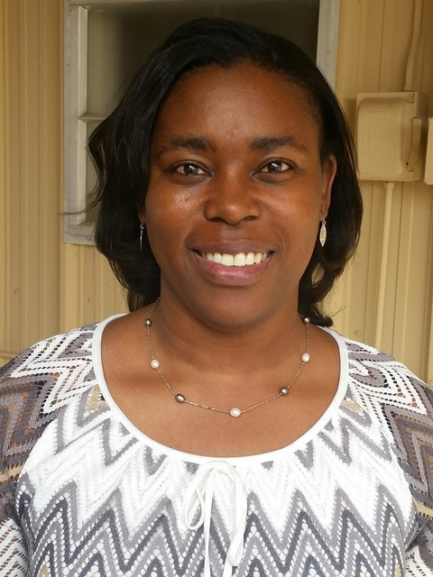 Dr. Chandra Holifield Collins, Associate Director, UA/NASA Space Grant Program