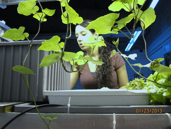 Lunar Greenhouse Story with Erica Hernandez