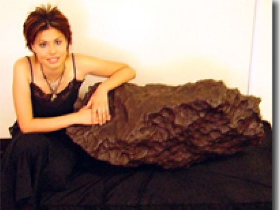 Daniella Giustina Awarded with NIAC Student Fellows Prize