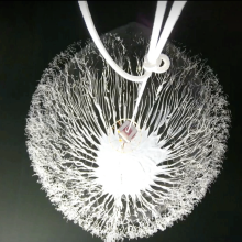 Balloon Burst