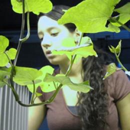 Lunar Greenhouse Story with Erica Hernandez