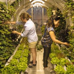 Arizona Space Grant Intern Honored with 2013 Arizona Centennial Achievement Award